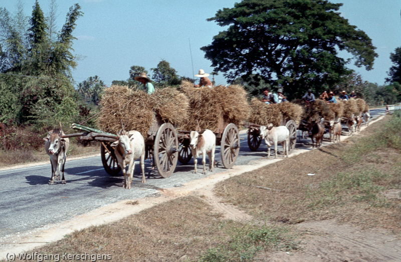 1979, Thailand, Sawankhalok